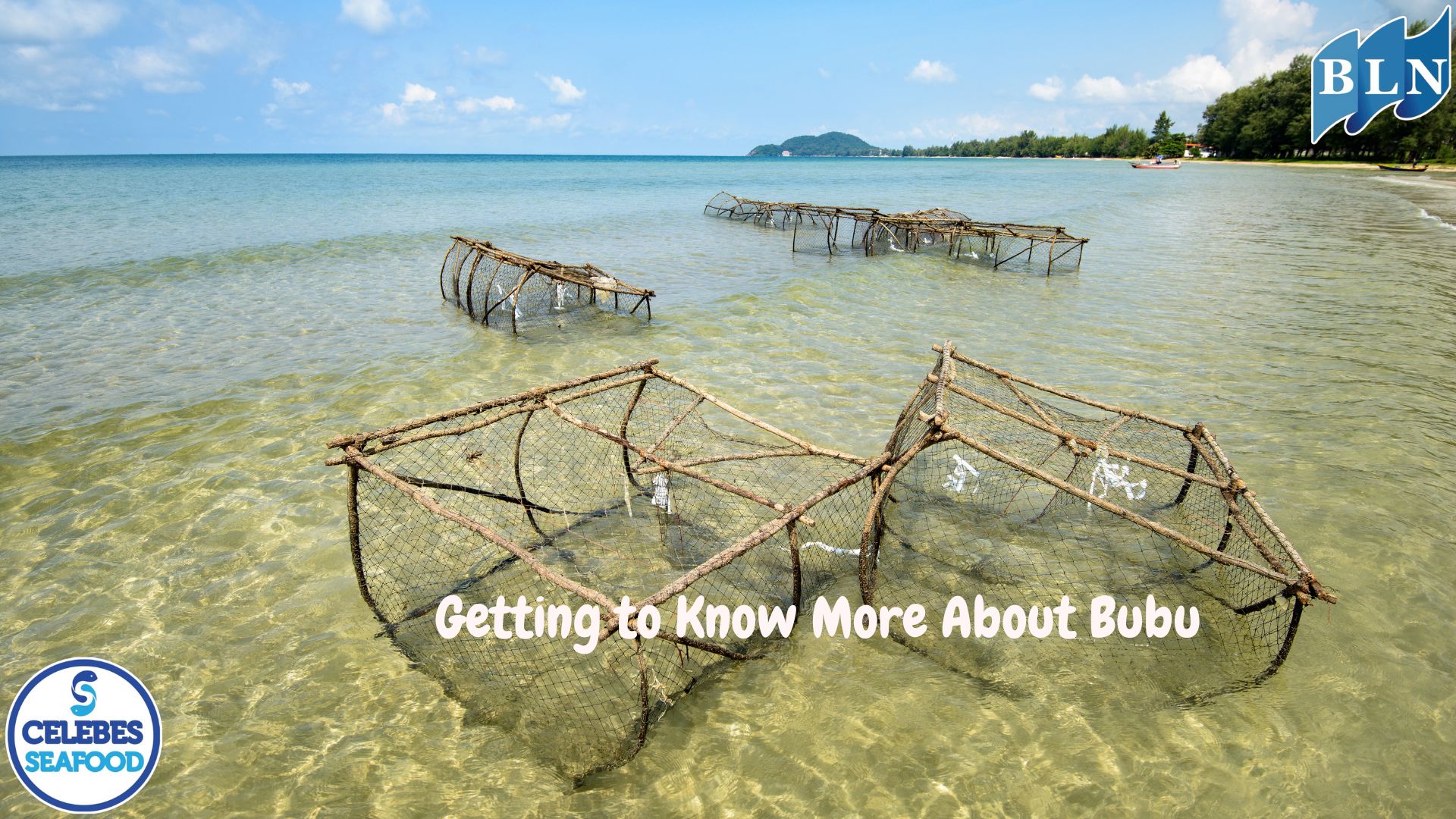 Getting to Know More About Bubu: Types, Functions, and How to Use It